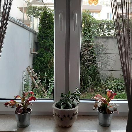 شقة Apartament Di Trevi - Klimatyzacja فروتسواف المظهر الخارجي الصورة