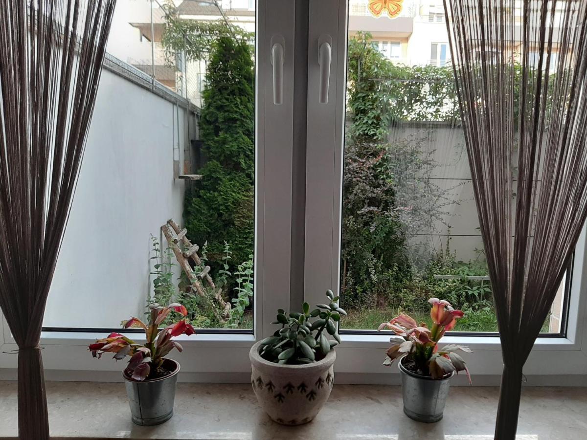 شقة Apartament Di Trevi - Klimatyzacja فروتسواف المظهر الخارجي الصورة